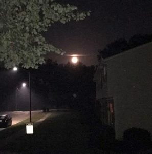 Meet your Posher, Bess